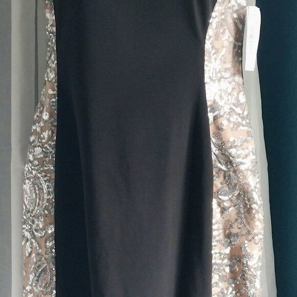 NWT R&M RICHARDS Embroidered Sequin Dress Size 6 - Picture 3 of 12
